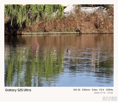 【拍有意境】+鸳鸯戏水