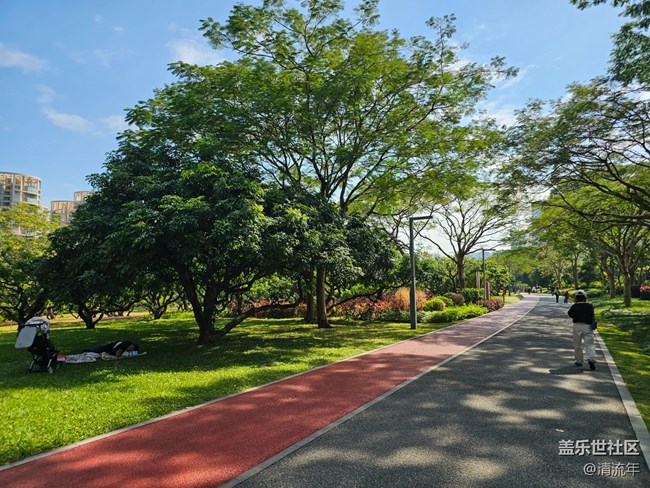 【落叶成诗】公园