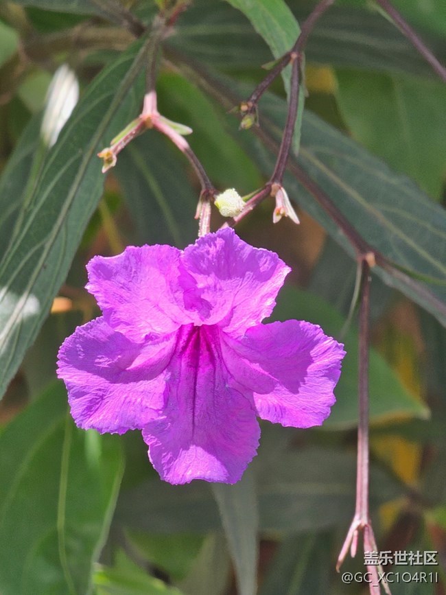 【简而美】生活痕迹