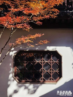 秋水共长天一色，踩一下