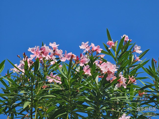 【简而美】平淡