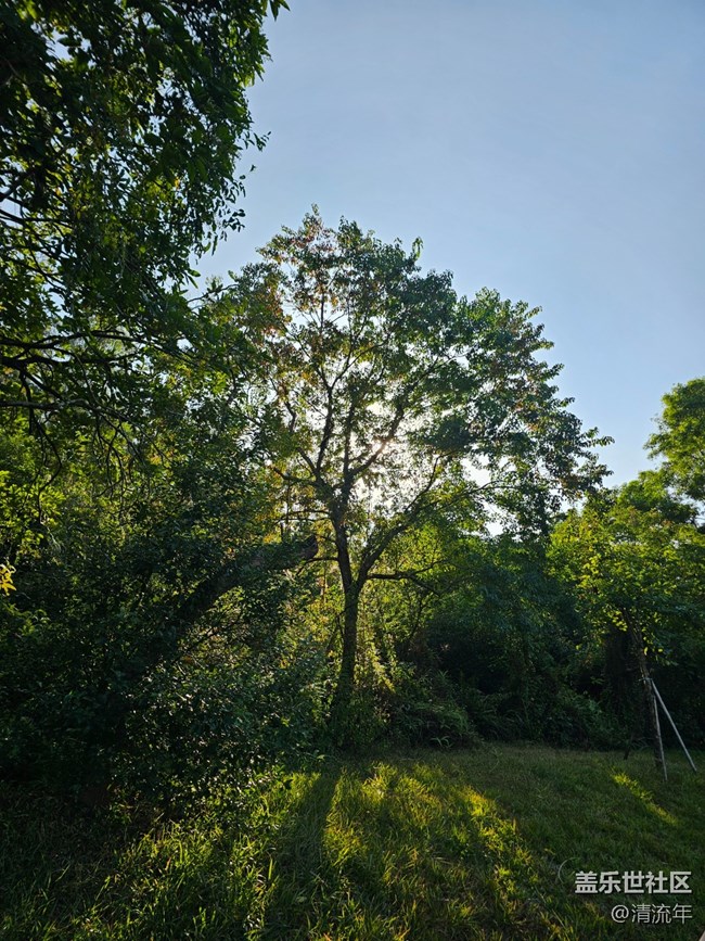 【简而美】简单的一天