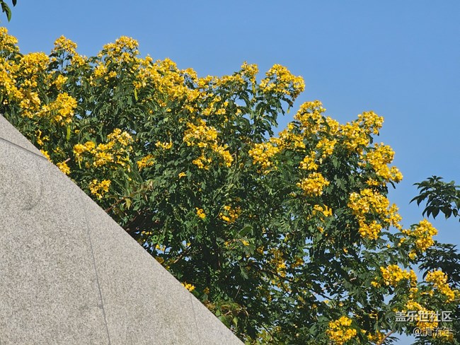 【简而美】平淡