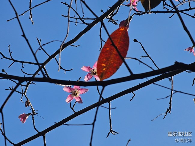 【光影里的故事】光影故事