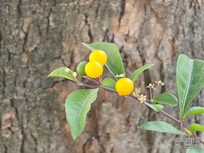 【简而美】生活痕迹