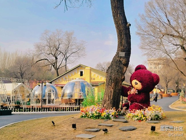 【活动回顾】哈尔滨星部落11月相约俄罗斯风情小镇