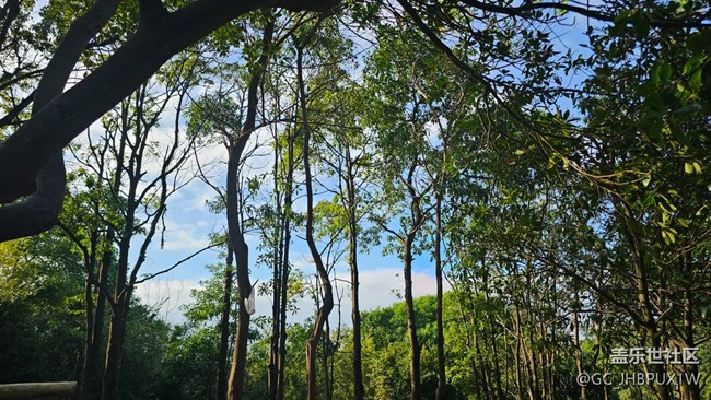 【光影里的故事】在山上