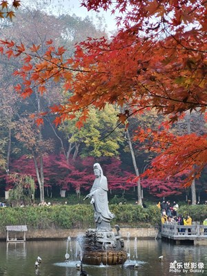 【拍有意境】+栖霞山