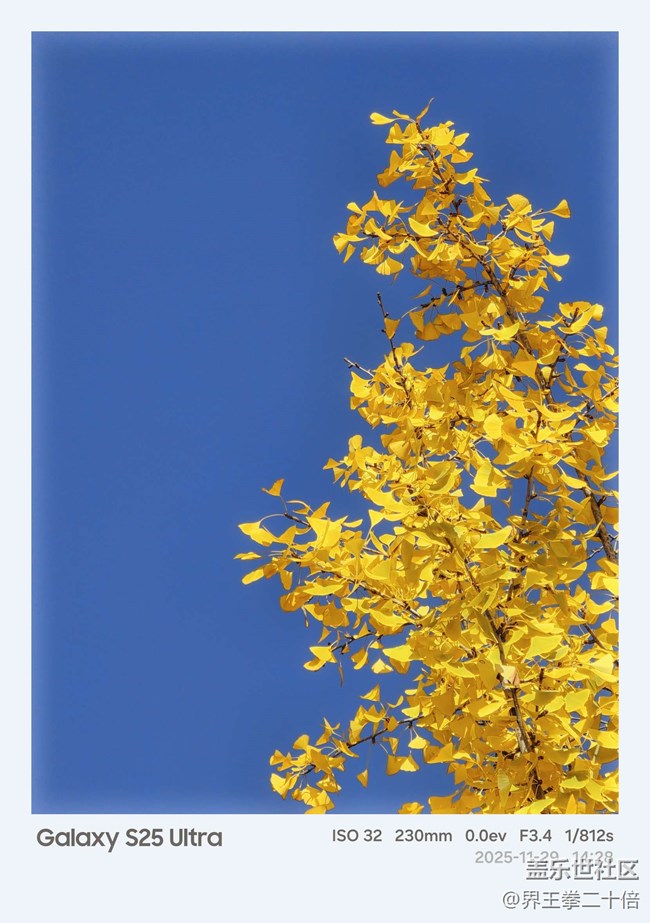 【汉口时光漫游第四弹】城市记忆