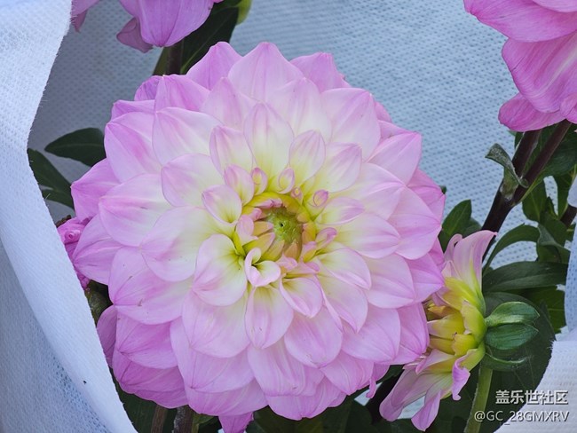 【简而美】绿色