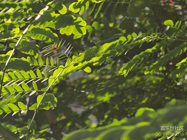 【简而美】假日