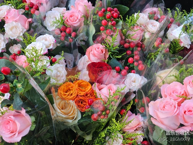 【简而美】简简单单