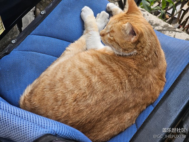 【简而美】街道