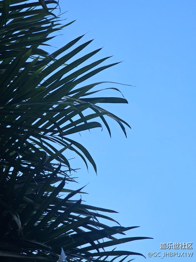 【简而美】日常