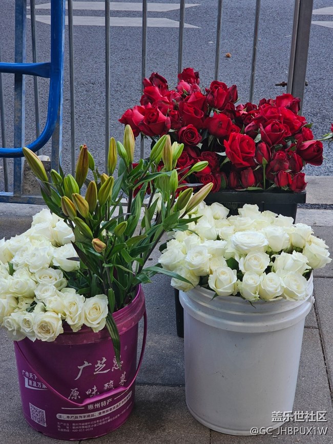 【简而美】街道