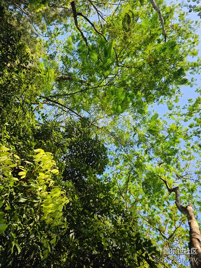 【简而美】绿色