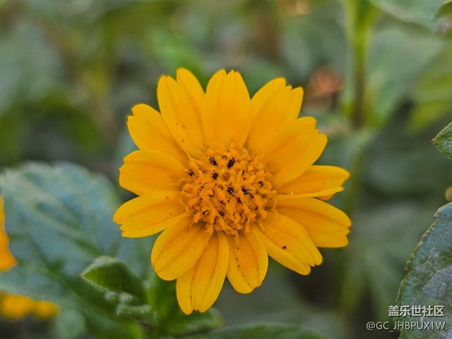 【简而美】日常