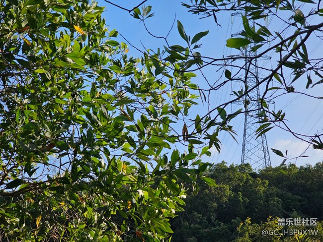 【光影里的故事】在山上