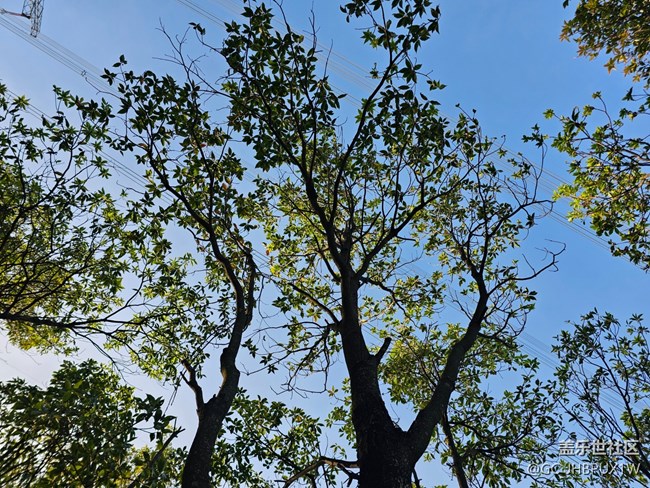 【光影里的故事】在山上