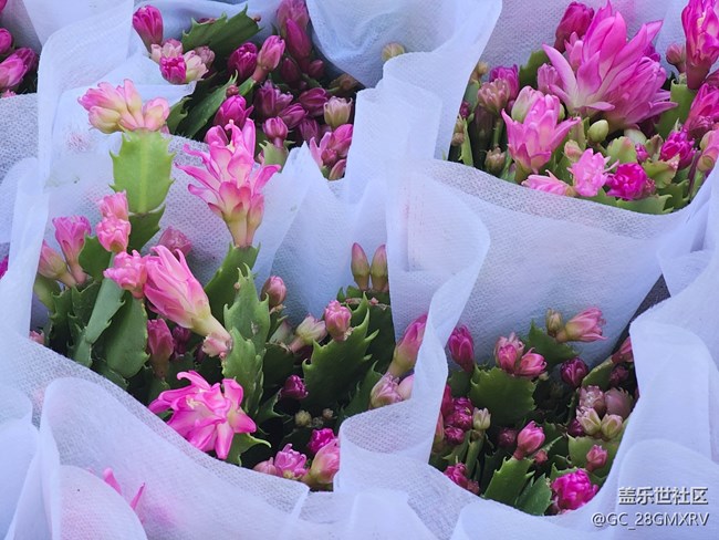 【简而美】简简单单