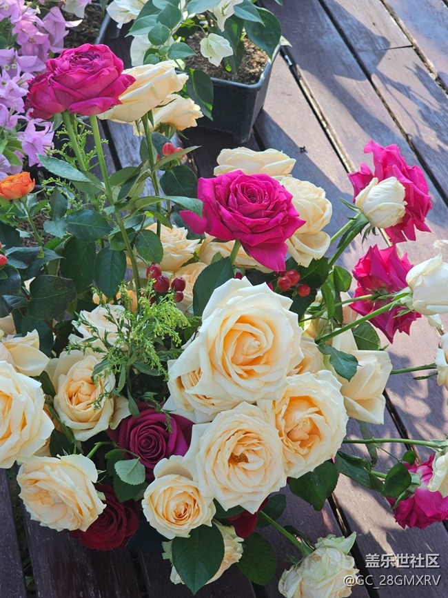 【简而美】花花世界