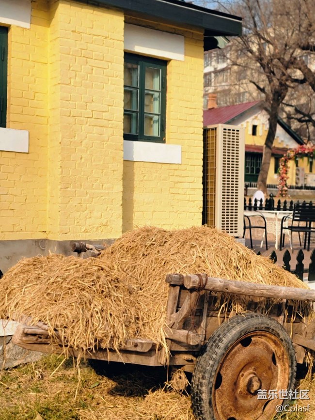 【活动回顾】哈尔滨星部落11月相约俄罗斯风情小镇