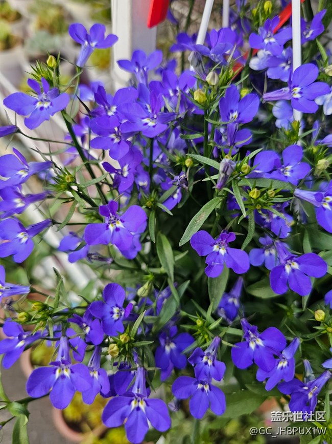 【简而美】假日