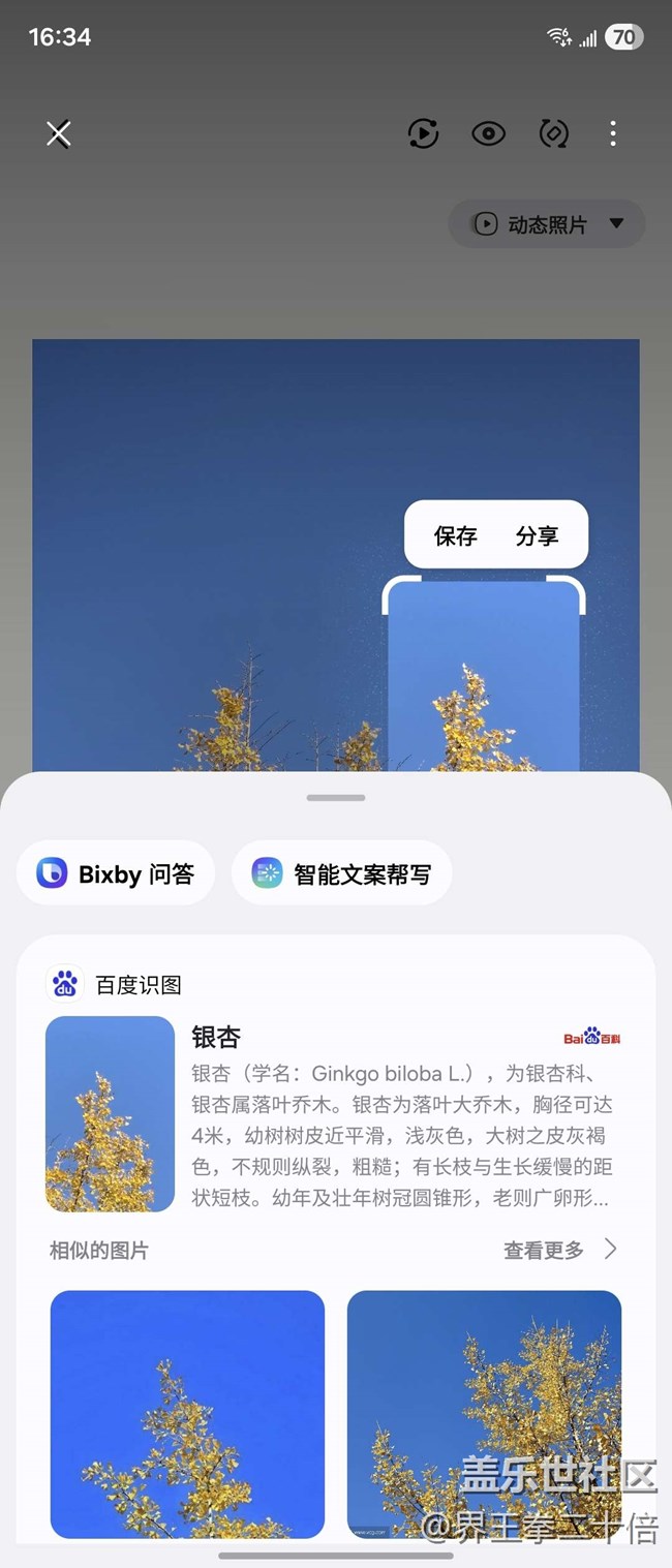 【汉口时光漫游第四弹】城市记忆