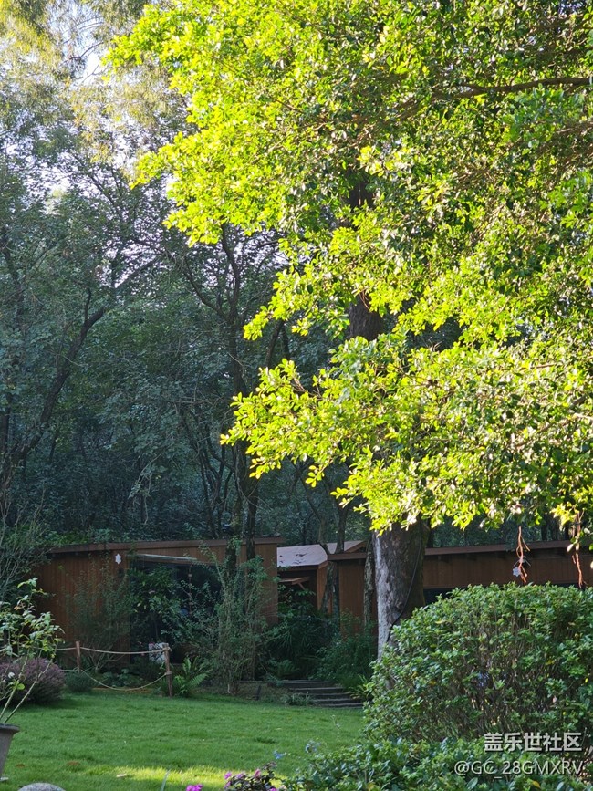 【简而美】绿色