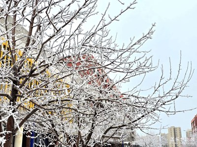 【拍有意境】+雾凇冰尖