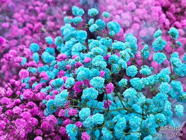 【简而美】花花世界