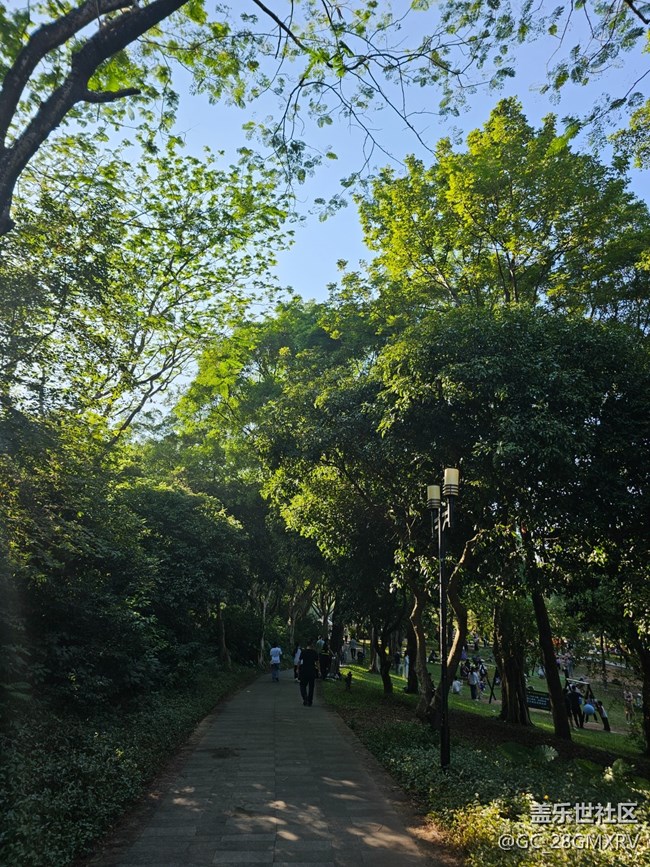 【简而美】绿色