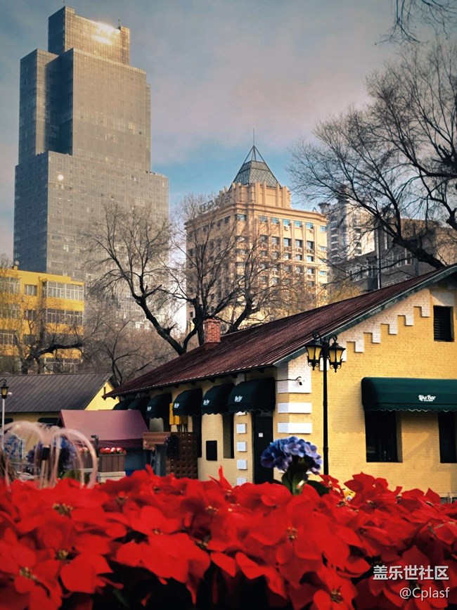 【活动回顾】哈尔滨星部落11月相约俄罗斯风情小镇