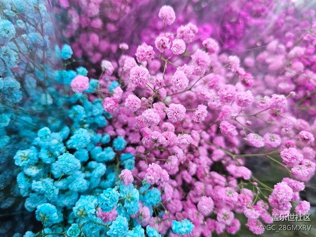 【简而美】花花世界