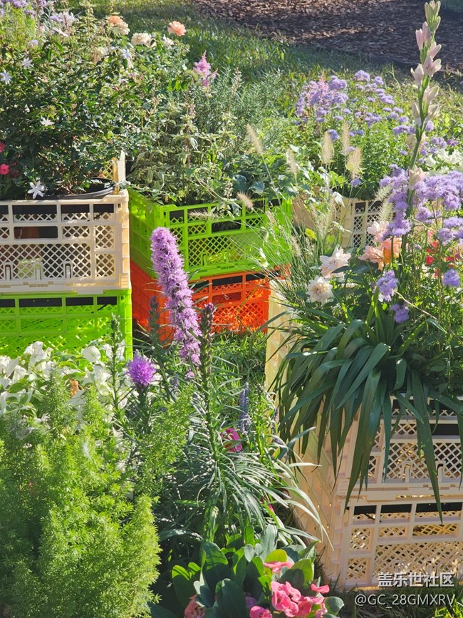 【简而美】花花世界