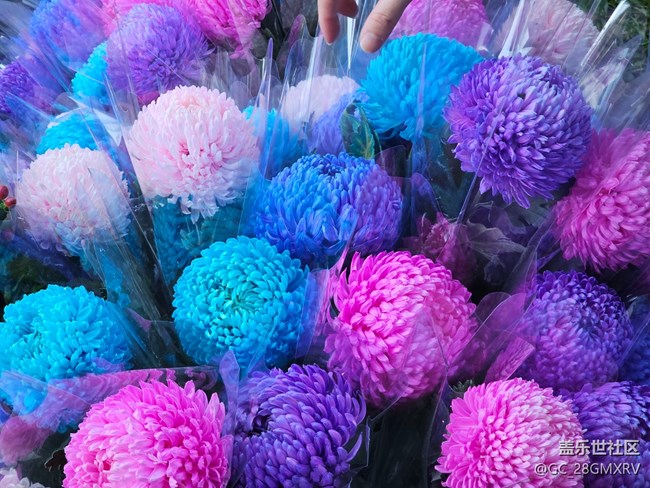 【简而美】简简单单