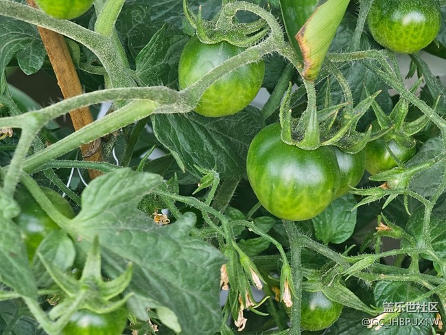 【简而美】假日