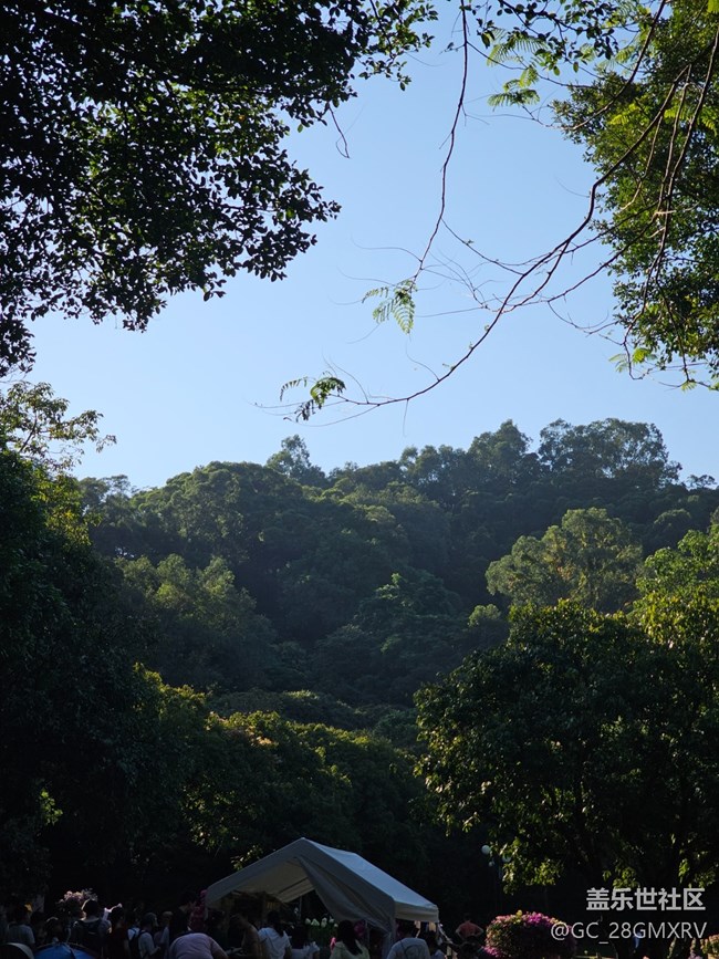 【简而美】绿色