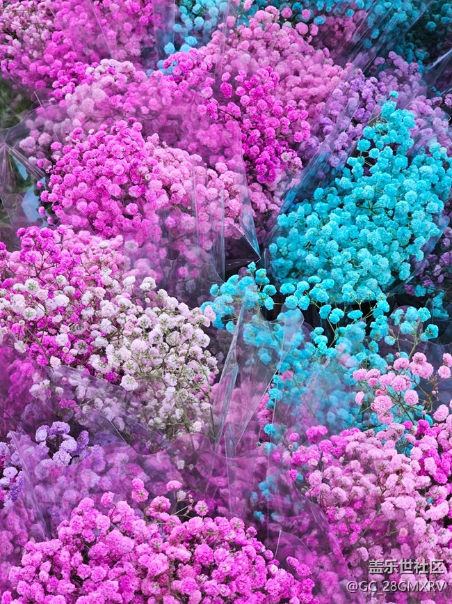 【简而美】花花世界