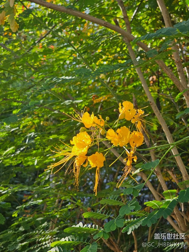 【简而美】假日