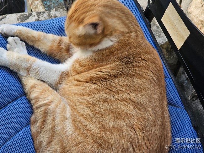 【简而美】街道