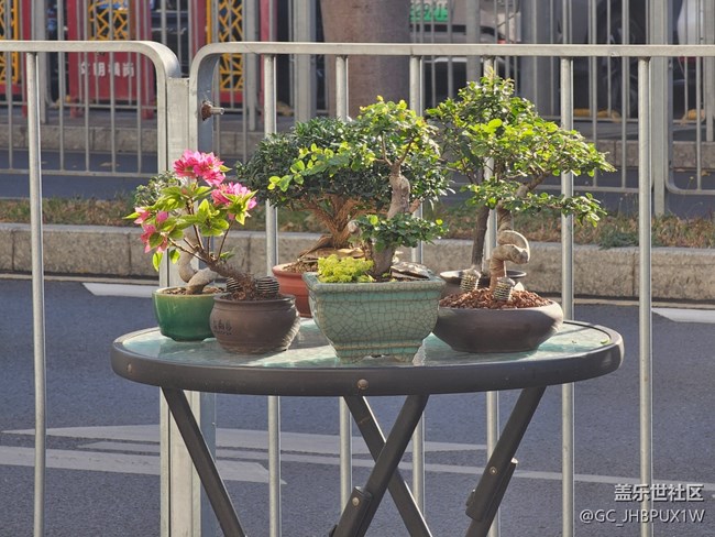 【简而美】街道