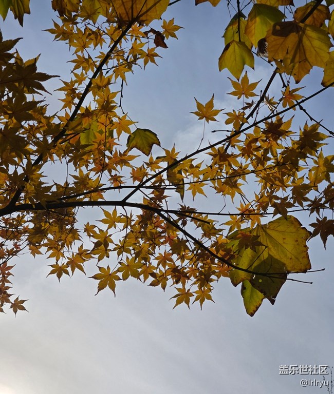 【瞬间】秋日余味