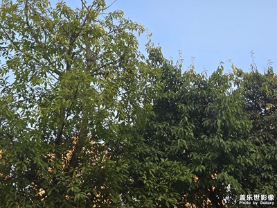 【拍有意境】+阳光