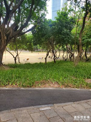 【拍有意境】中心公园