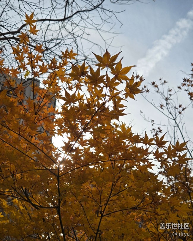 【瞬间】秋日余味