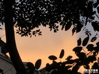 【拍有意境】秋冬的照片