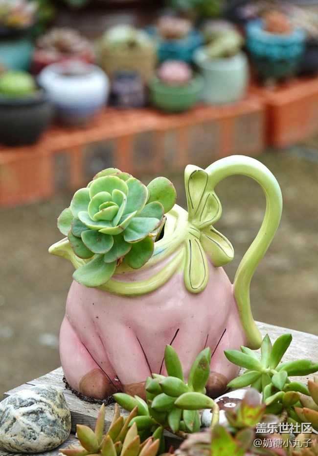 【瞬间】绿色生活