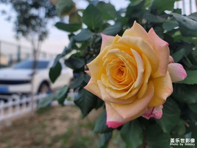 西伯利亚的日落，烘干少年的心事。