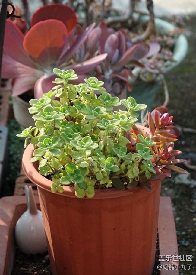 【瞬间】绿色生活